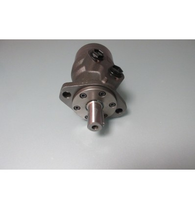 Moteur Type Omr 315 Cylindrique Dn25 2 Trous